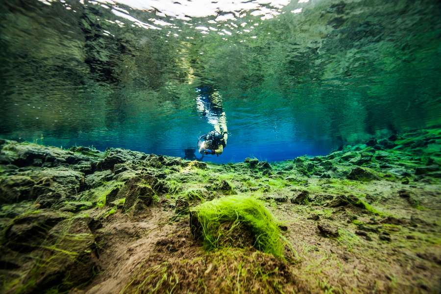 Immersioni e snorkeling