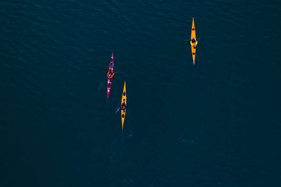 Kayak & Paddleboard